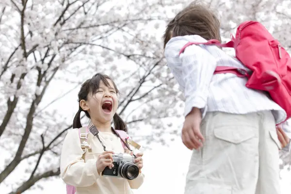 Aziatische Kleine Meisje Jongen Hebben Plezier Het Voorjaar Park — Stockfoto