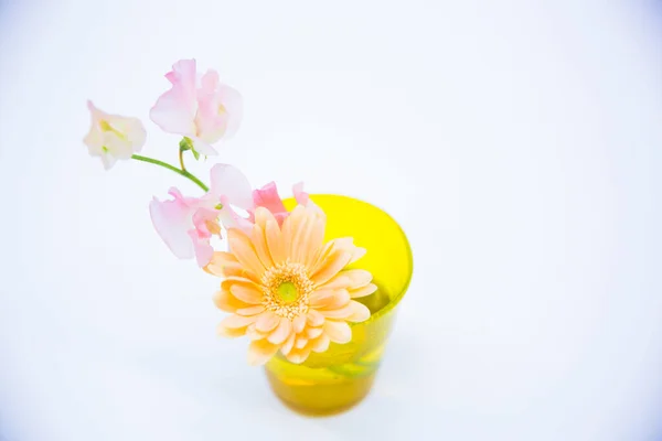 Piękne Kwiaty Żółtym Wazonie Widok Bliska — Zdjęcie stockowe