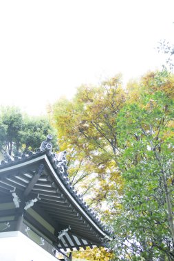 Çatı ve ağaçlarla döşeli geleneksel Japon evi