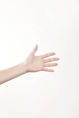 Beyaz arkaplanda kadın eli