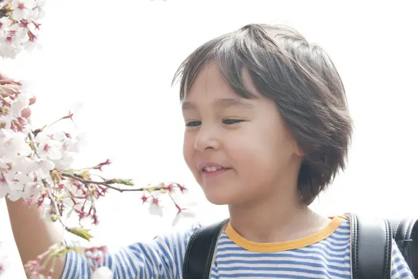 Ładny Japoński Chłopiec Plecakiem Parku Wiosennym Koncepcja Edukacji — Zdjęcie stockowe