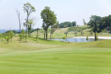 Altın bahçeli manzaralı bir arazi.