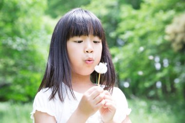 küçük kız üfleme karahindiba