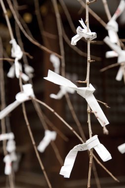 Küçük notlarla bir ağaç dalının yakın plan görüntüsü. 