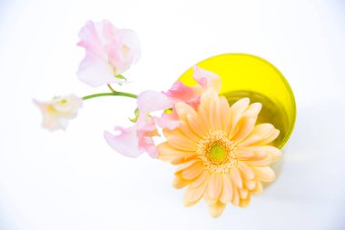 Sarı vazodaki güzel çiçekler, manzarayı kapatın.