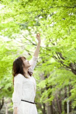 Güzel genç Asyalı kadın ağaç dalına dokunuyor. 