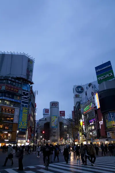 Район Сибуя Токио Япония Пересечение Сибуя Один Самых Загруженных Переходов — стоковое фото