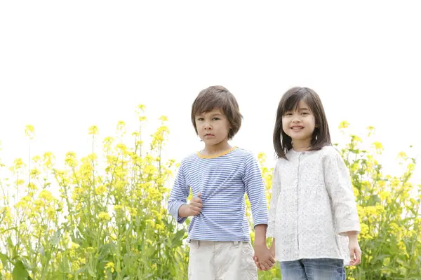 Mignon Japonais Enfants Sur Colza Champ — Photo