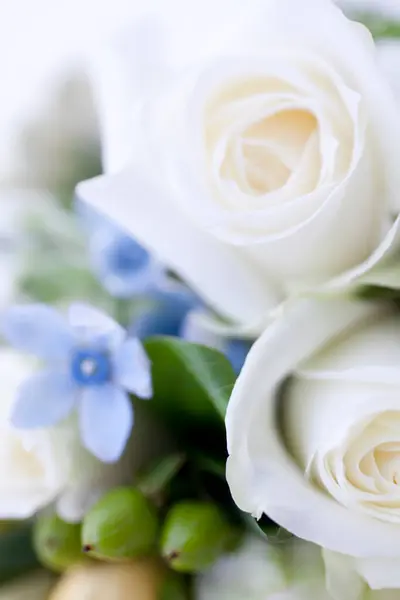 Ein Strauß Weißer Rosen — Stockfoto
