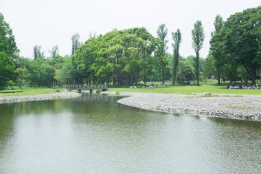 Nehir ve ağaçlarla dolu güzel bir manzara