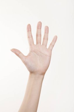 Beyaz arka planda el hareketi yapan kadınların yakın çekimi. 