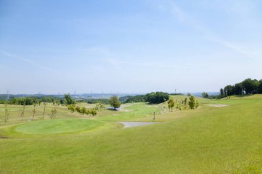 Altın bahçeli manzaralı bir arazi.