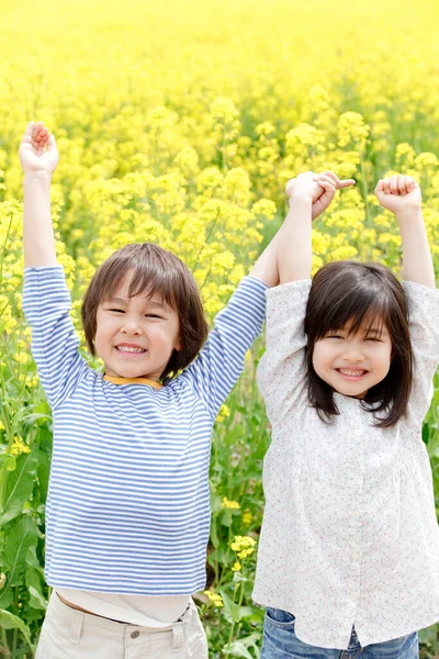 Enfants Japonais Mignons Avec Les Mains Levées Sur Champ Colza — Photo