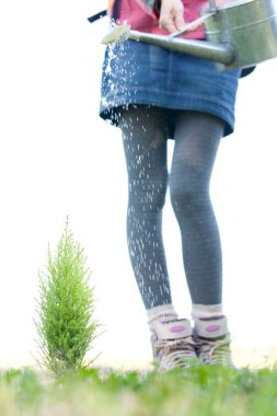 Genç bir kadın ormana ağaç dikiyor. 