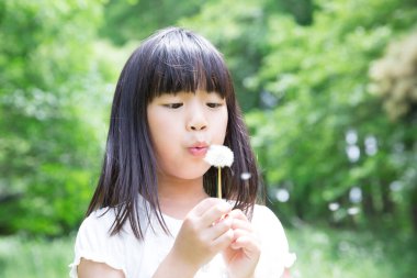 Küçük bir kız parkta karahindiba üflüyor.