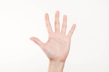 Beyaz arka planda el hareketi yapan kadınların yakın çekimi. 