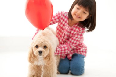 Genç Japon kız evde köpek yavrusuyla oynuyor. 