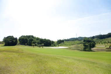 Altın bahçeli manzaralı bir arazi.