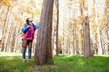 Sarı sırt çantalı genç Japon kadın sonbahar parkında yürüyüş yapıyor.
