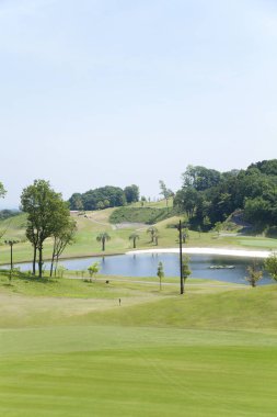 Altın bahçeli manzaralı bir arazi.