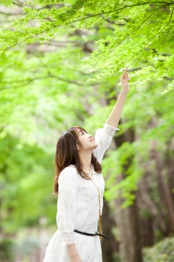 Güzel genç Asyalı kadın ağaç dalına dokunuyor. 