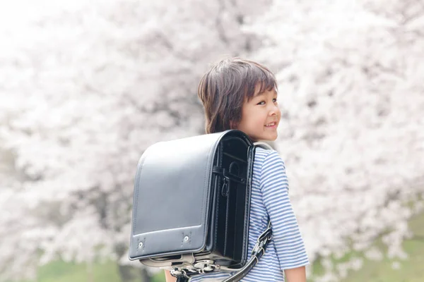 Cute Japanese Child Boy Backpack Spring Park Concept Education — Stock Photo, Image