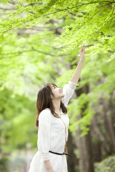 Güzel genç Asyalı kadın ağaç dalına dokunuyor. 