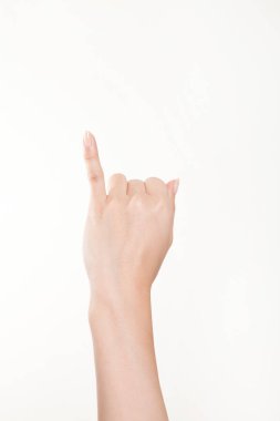 Beyaz arka planda el hareketi yapan kadınların yakın çekimi. 