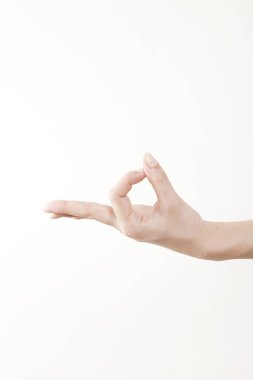 Beyaz arka planda el hareketi yapan kadınların yakın çekimi. 