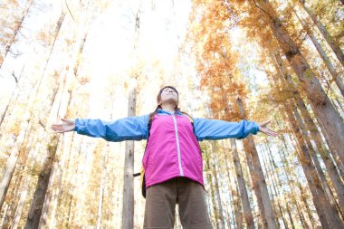 Sarı sırt çantalı genç Japon kadın sonbahar parkında yürüyüş yapıyor.