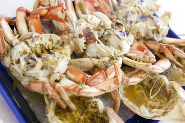 close up of fresh crab on plate