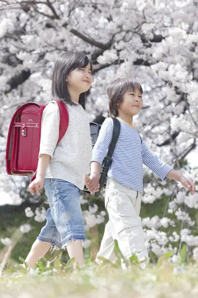 Bahar Parkındaki Tatlı Japon Kız Oğlan Eğitim Kavramı — Stok fotoğraf