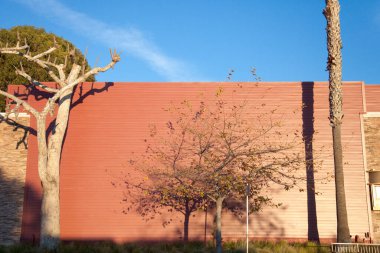 Çıplak ağaçlar, açık havada kırmızı tuğla duvara gölge düşürüyor.