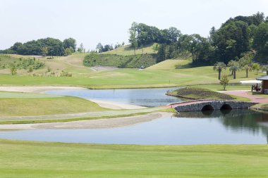 Altın bahçeli manzaralı bir arazi.