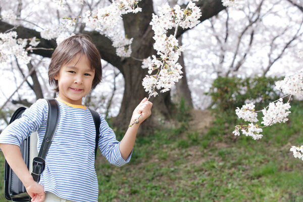 cute Japanese child boy with backpack in spring park. concept of education