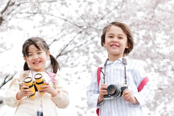 Aziatische Kleine Meisje Jongen Hebben Plezier Het Voorjaar Park — Stockfoto