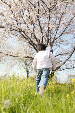 Asyalı kız bahçede bahar ve kiraz çiçeklerinin tadını çıkarıyor.