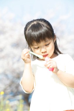 genç kız üfleme kabarcıklar açık havada