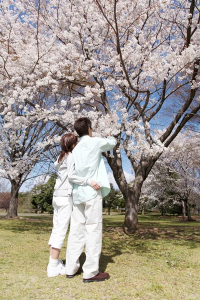 Fiatal Japán Pár Tavaszi Parkban — Stock Fotó