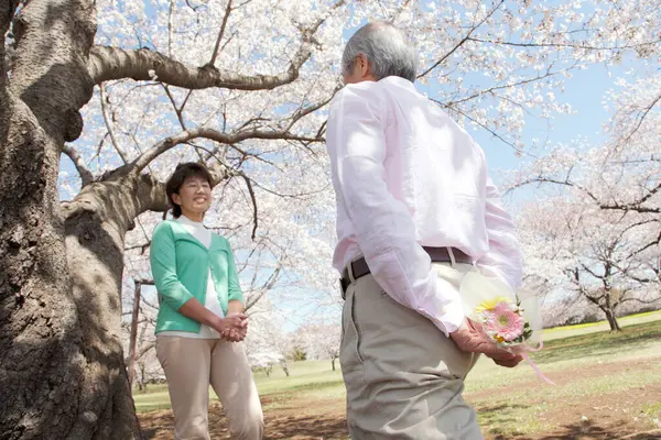 Heureux Asiatique Senior Couple Dans Printemps Parc — Photo