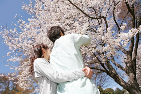 Jovem Casal Japonês Parque Primavera — Fotografia de Stock