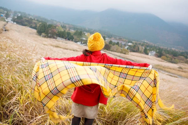 Wanita Bermantel Merah Dengan Topi Kuning Dan Syal Berpose Lapangan — Stok Foto
