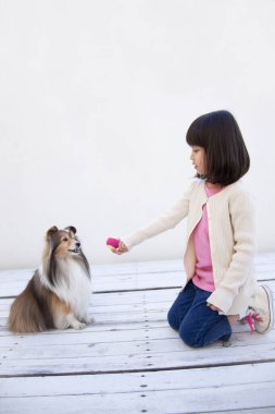 Mutlu küçük Asyalı kız ve çoban köpeği 