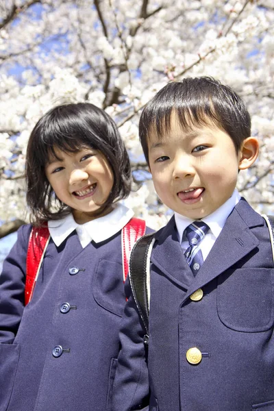 Close Portrait Asian Brother Sister Pupils School Uniforms Posing Park — Stock Photo, Image