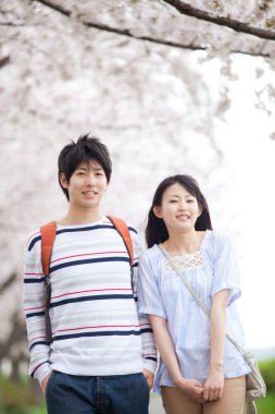 Genç Japon çift baharda kiraz çiçekleriyle parkta yürüyor.