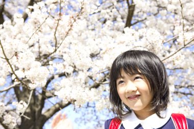 Sırt çantalı Japon kız kiraz ağaçları bahçesinde yürüyor