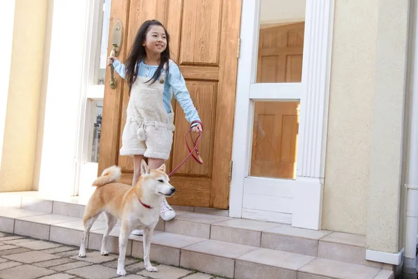 Shiba inu köpeği olan güzel Asyalı kız.