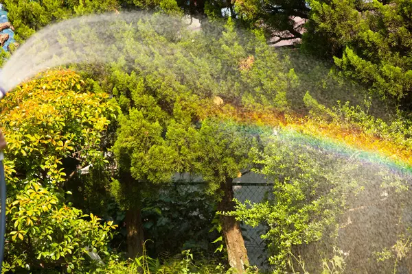 Beautiful Rainbow Garden — Stock Photo, Image