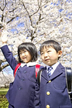 Asyalı erkek ve kız kardeşlerin okul üniformalı portresi. Parkta çiçek açan ağaçların yanında poz veriyorlar.