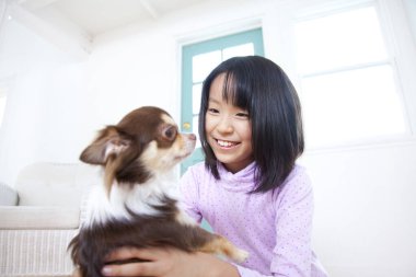 Gülümseyen Japon kız tatlı Chihuahua köpeğiyle oynuyor.